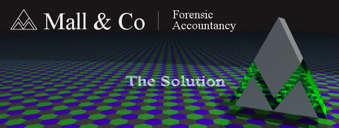 MALL and Co. Forensic Accountancy Services